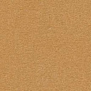 Ковролин Radici Nexus Biondo 8214  | FLOORDEALER